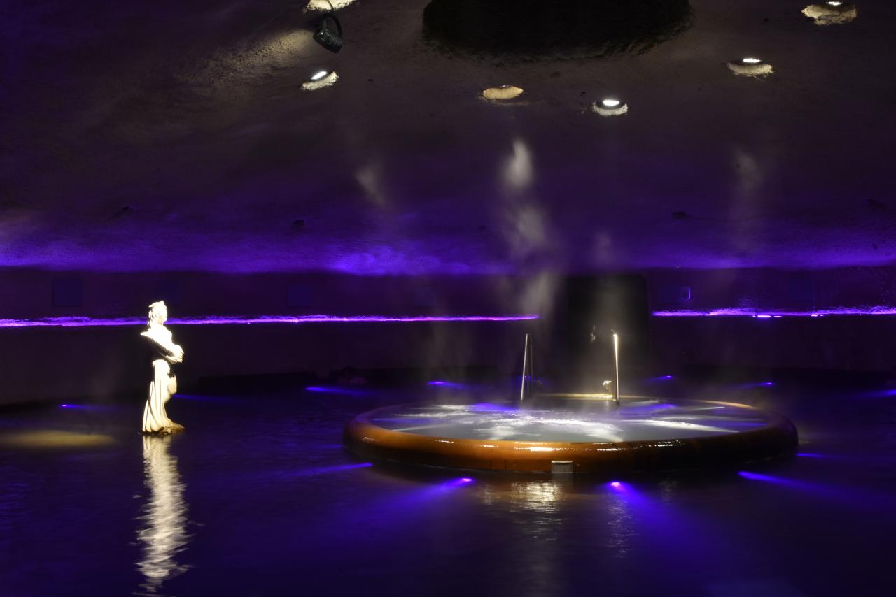 Biglietto ingresso speciale S. Silvestro 2025 + Ingresso piscina termale semicoperta (dalle 20:00 alle 3:00)