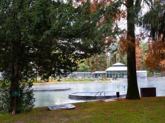 Ingresso giornaliero Parco Termale